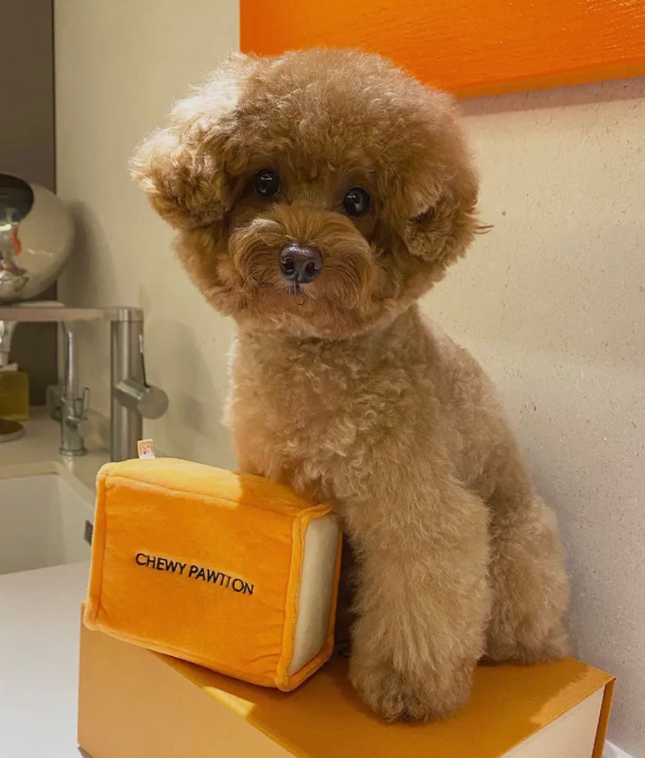 Chewy Pawtion Toy
