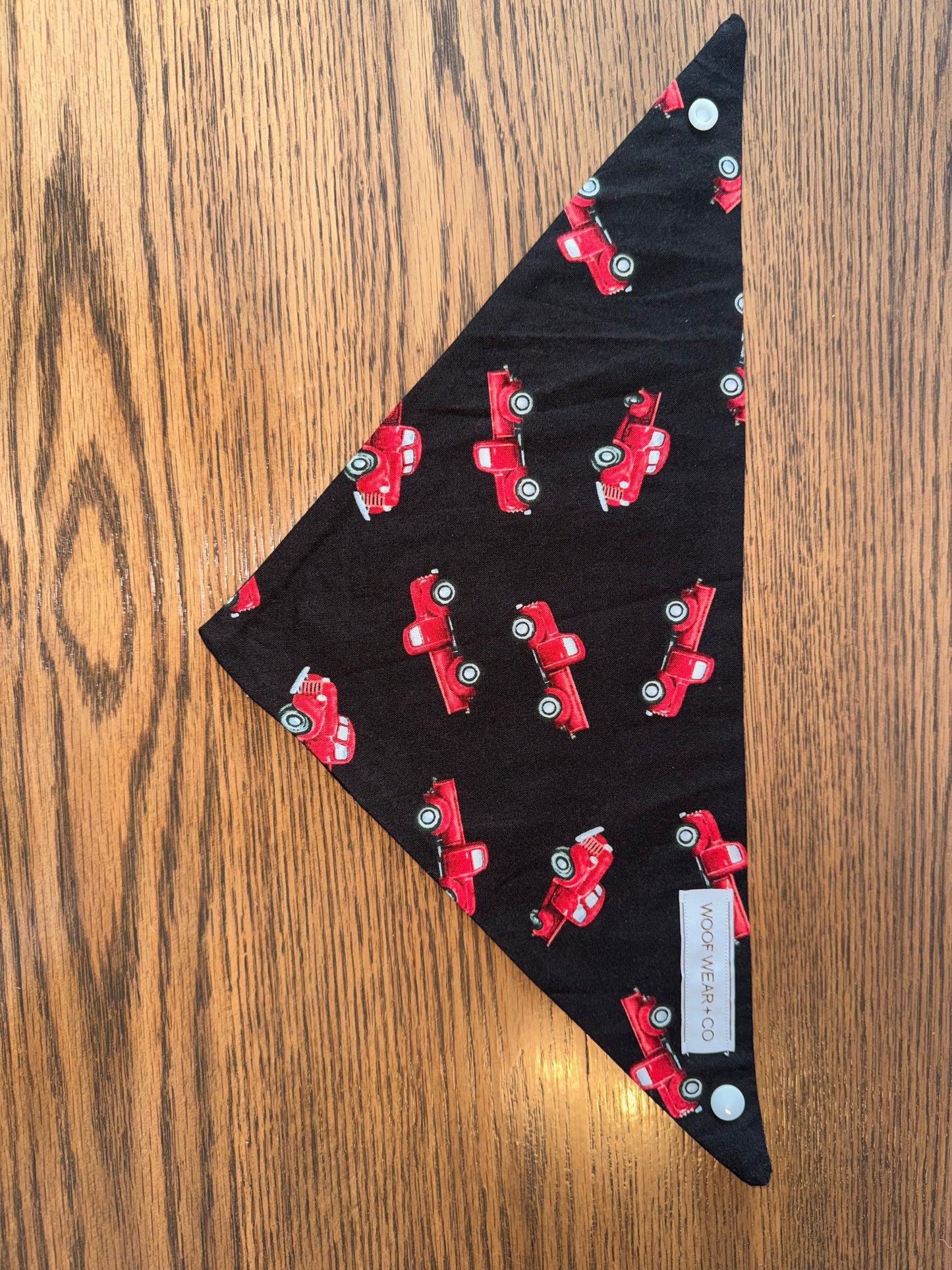 Trucks Bandana